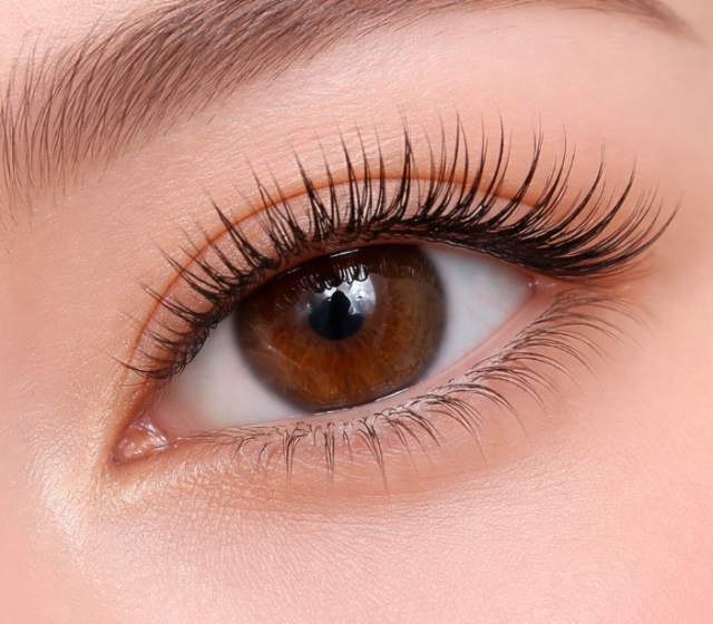 Uốn mi collagen 6D